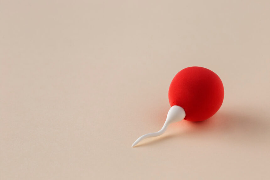 Engineered Womb Lining Model Sheds New Light on How Embryos Implant