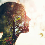 The Healing Power of Routine When Life Feels Chaotic