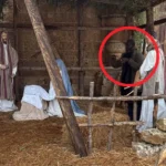Fugitive in Italy caught after hiding as a statue in Christmas nativity scene