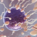 Vitamin C May Help Protect Sperm and Male Fertility, Study Suggests