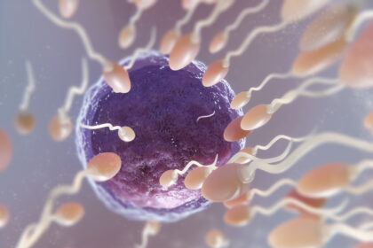 Vitamin C May Help Protect Sperm and Male Fertility, Study Suggests